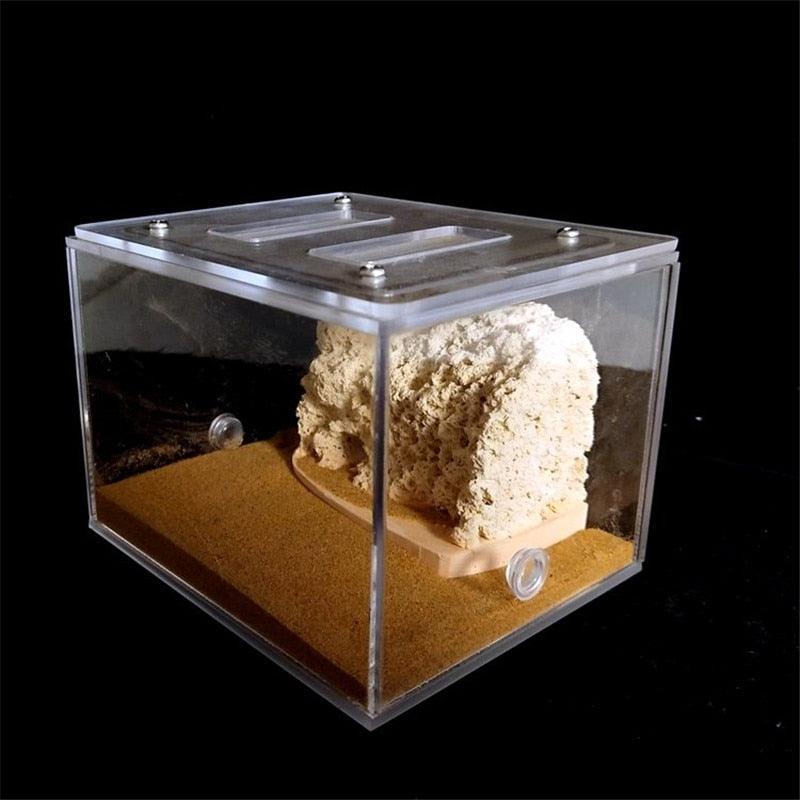 Bionic Acrylic Gypsum Ant Nest Housing Ant Farm For Ant Colony - The Pet Talk