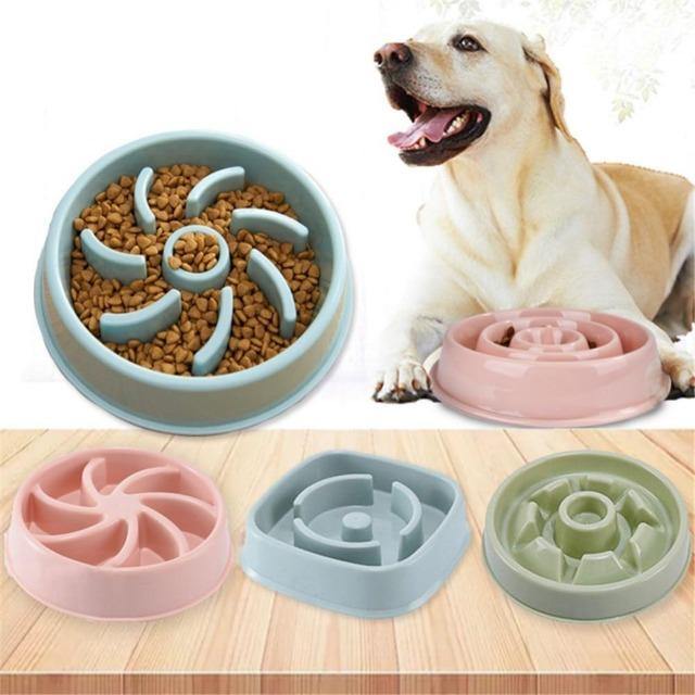 Dog Food Slow Feeder Food Bowl - The Pet Talk