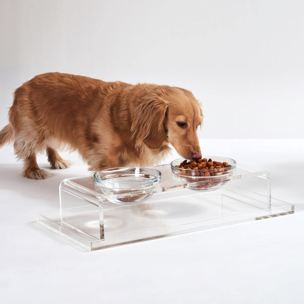Feeder | Clear Overflow Feeder Tray as Bowl Feeder Base for Food or Water Overflown - The Pet Talk