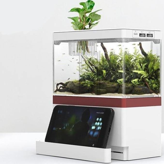 Mini Aquarium Fish Tank Desktop Creative WIth Phone Holder USB With LED Lamp Light - The Pet Talk