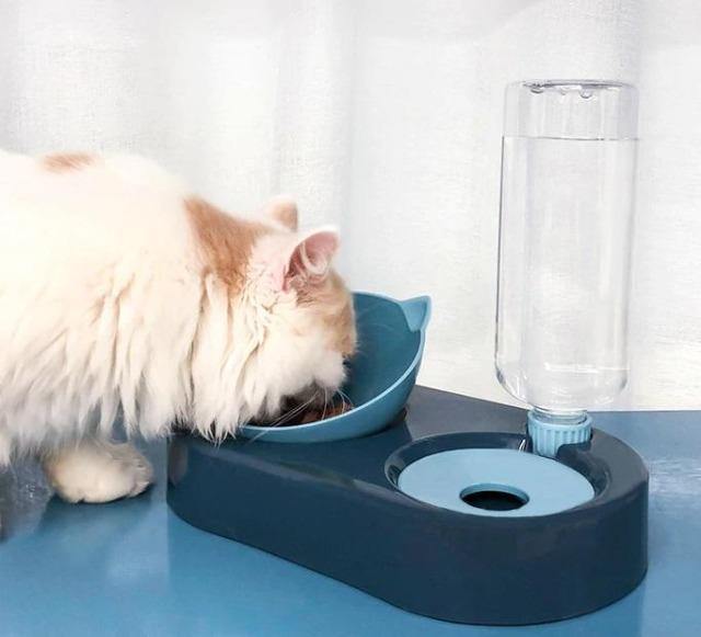 Pet Cat Bowl and Water Dispenser 2-in-1 - The Pet Talk