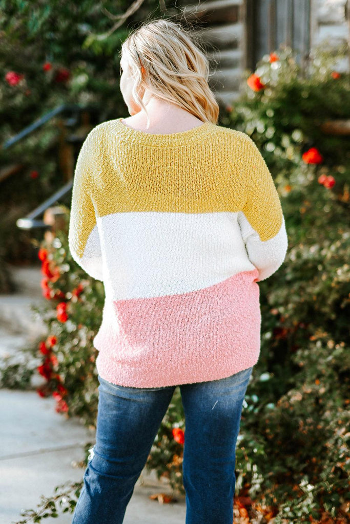 Plus Size Color Block Round Neck Sweater - The Pet Talk