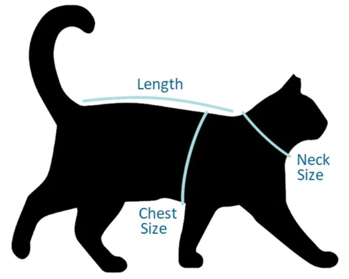 Cat Size Chart, Cat Length Chart - The Pet Talk