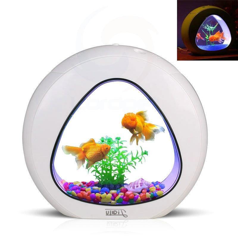 Fish Aquarium Tank - The Pet Talk