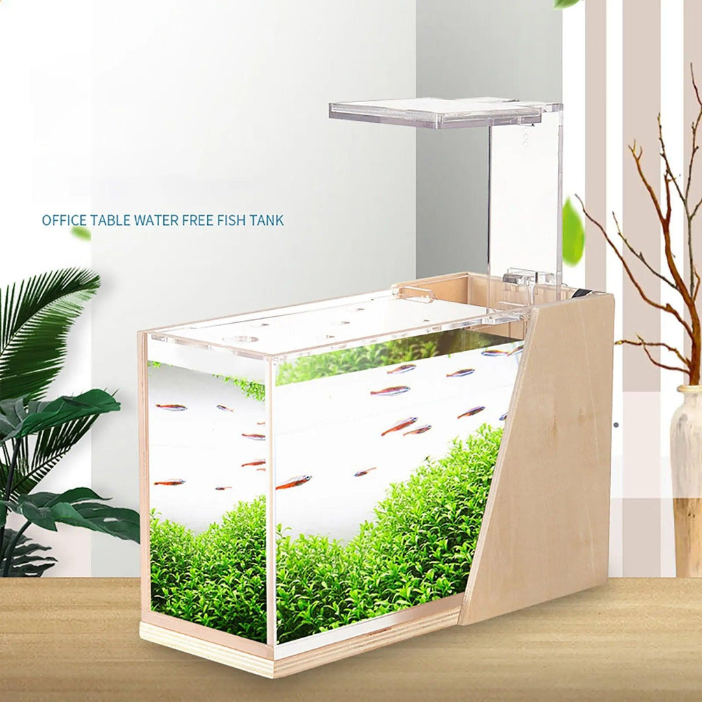 Acrylic Ecological Mini Desktop Fish Tank Creative Office Decoration - The Pet Talk