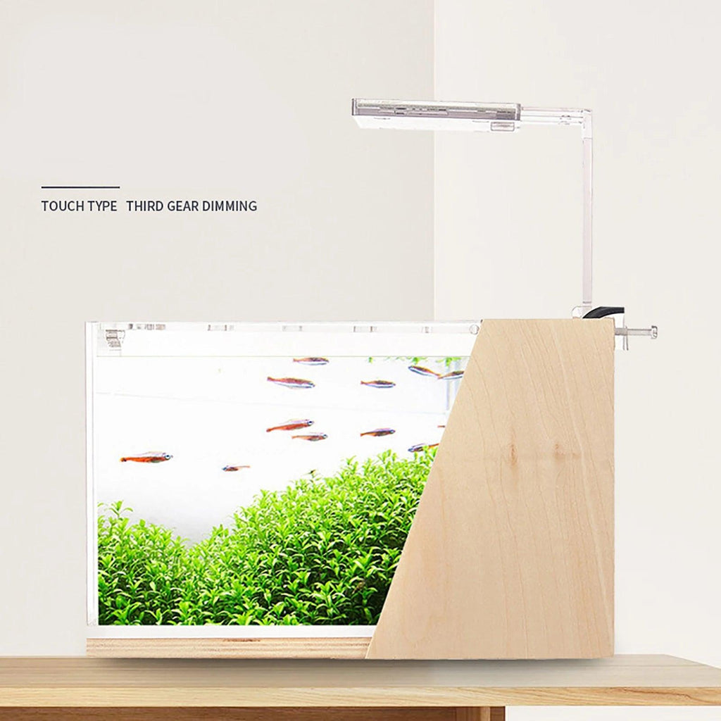 Acrylic Ecological Mini Desktop Fish Tank Creative Office Decoration - The Pet Talk