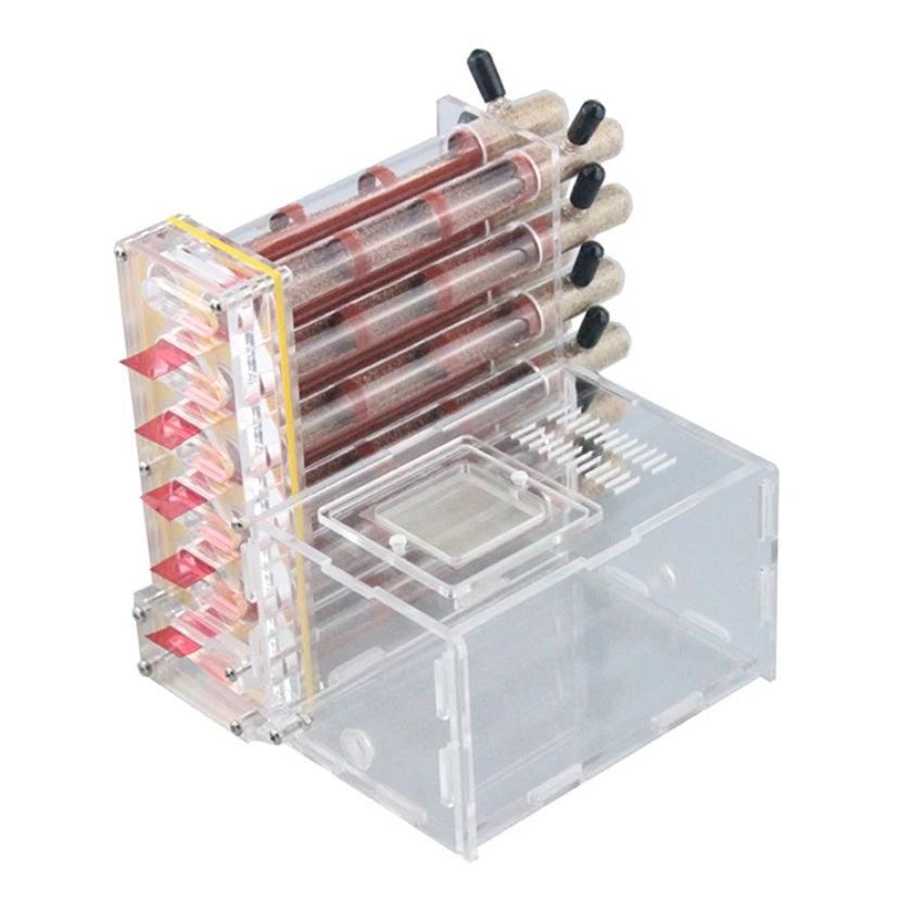 Ant Farm 12 Pieces Bamboo Test Tube Acrylic Hunting Area Educational Workshop - The Pet Talk