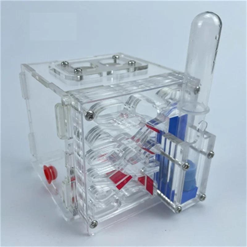 Ant Nest Acrylic Cube Side Water Tower Educational Workshop - The Pet Talk