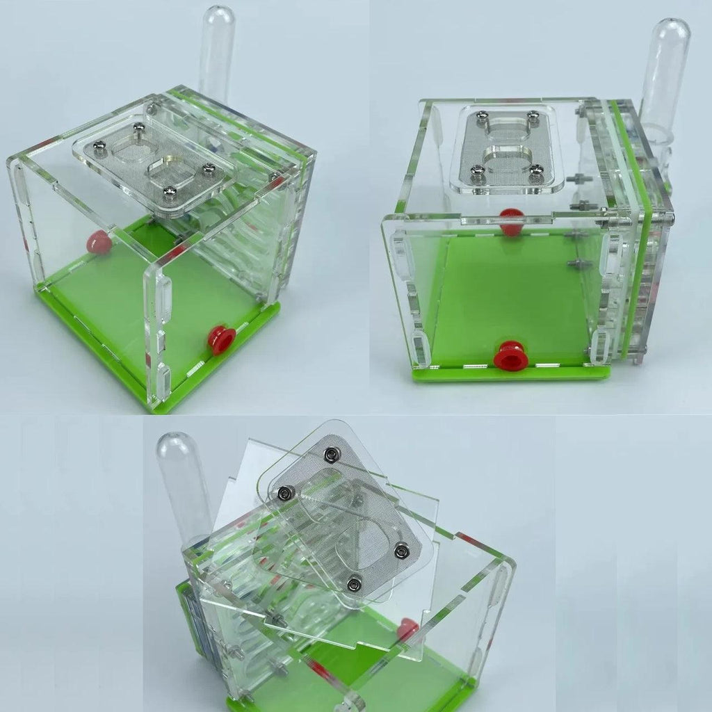 Ant Nest Acrylic Cube Side Water Tower Educational Workshop - The Pet Talk