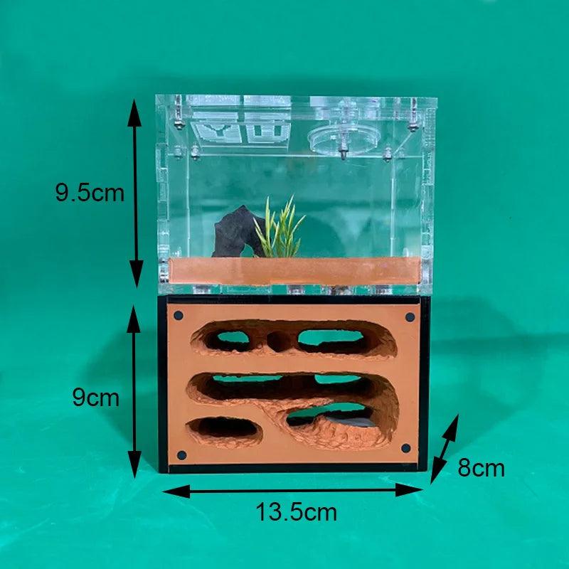 Ecological Ant Farm Super Fun Unlimited Expansion Magnetic Join Educational Toys - The Pet Talk