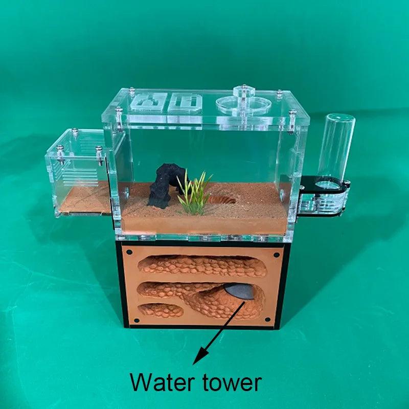 Ecological Ant Farm Super Fun Unlimited Expansion Magnetic Join Educational Toys - The Pet Talk