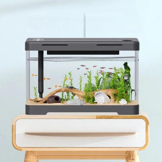Landscaping Box Aquariums Fish Tank Desktop Living Room Decoration - The Pet Talk