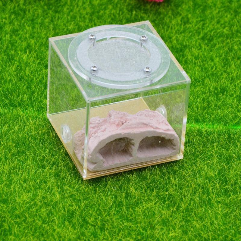 Plaster Rockery Nest Imitation Ecological Ant Castle - The Pet Talk