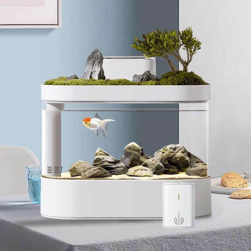 Smart Fish Tank Geometry Desktop Betta Aquarium - The Pet Talk