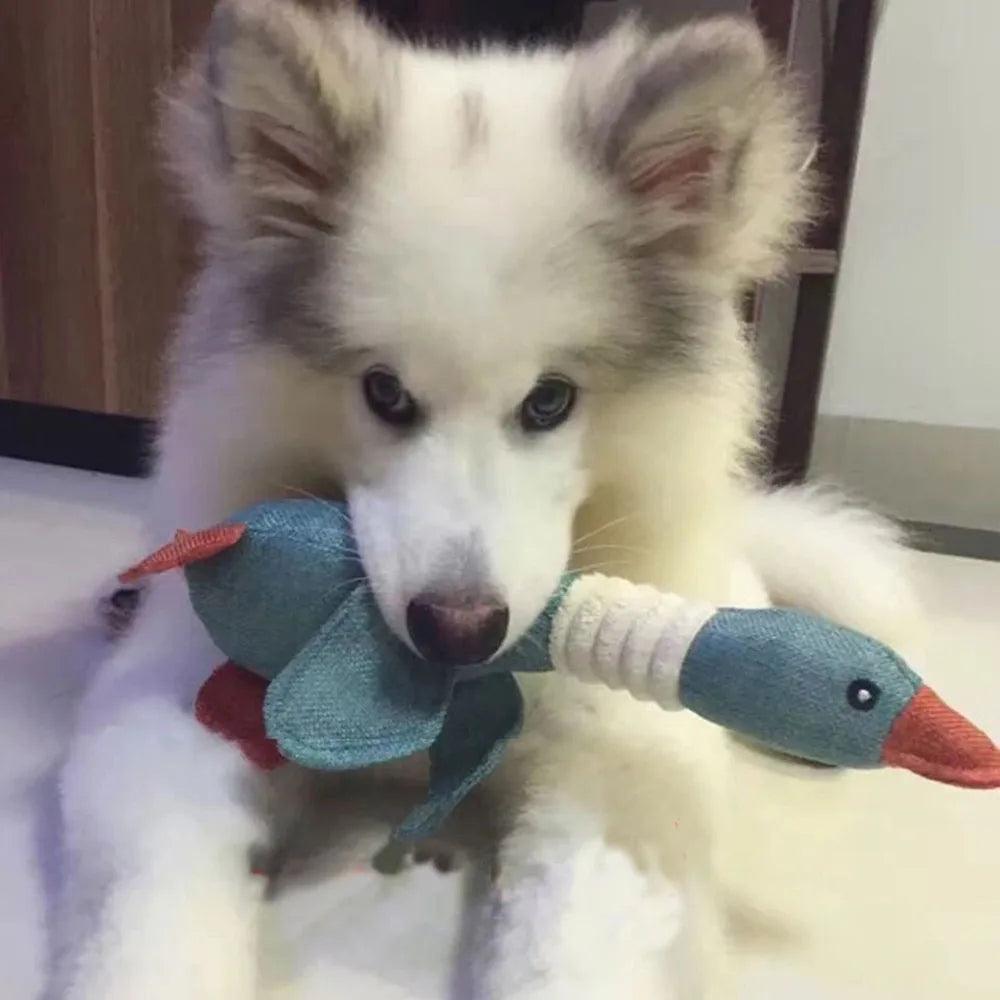 Wild Goose Duck Dog Chew Toy With Squeaker For Big Chewers Dog - The Pet Talk