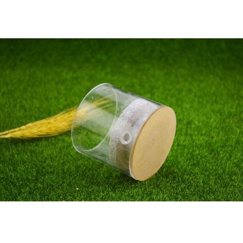 Acrylic Three Dimensional Aerated Brick Nest Ant Cylindrical House - The Pet Talk