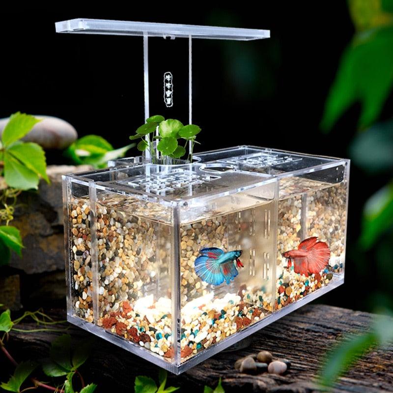 Acrylic Fish Tank Aquarium Office Desktop Decoration - The Pet Talk