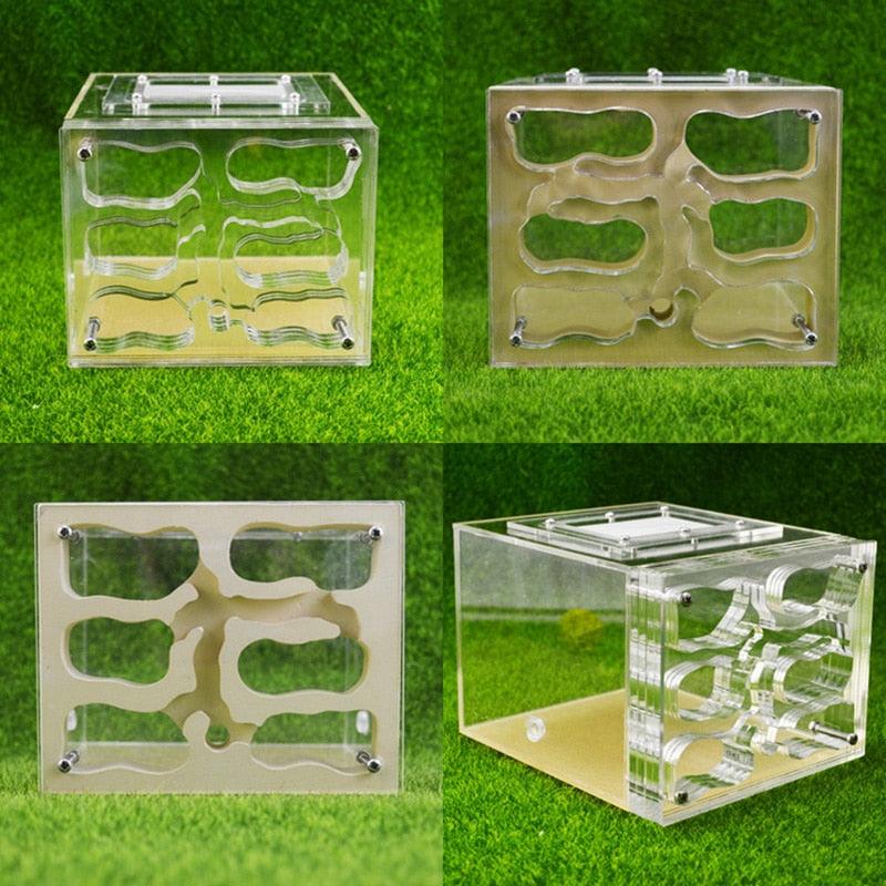 Acrylic Mixed Ant Nest Transparent Active Area Square Anthill Education Workshop - The Pet Talk