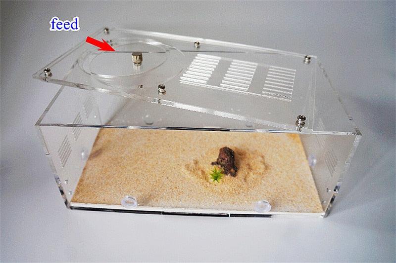 Ant Compartment Separated Room Unlimited Expansion Flat Big Ant Villa Ant Farms - The Pet Talk