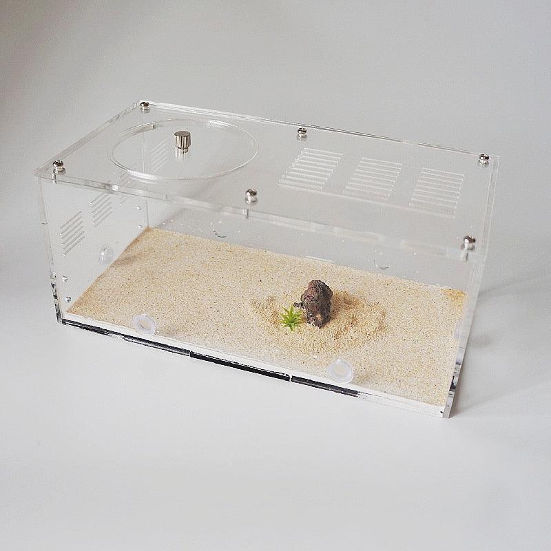 Ant Compartment Separated Room Unlimited Expansion Flat Big Ant Villa Ant Farms - The Pet Talk