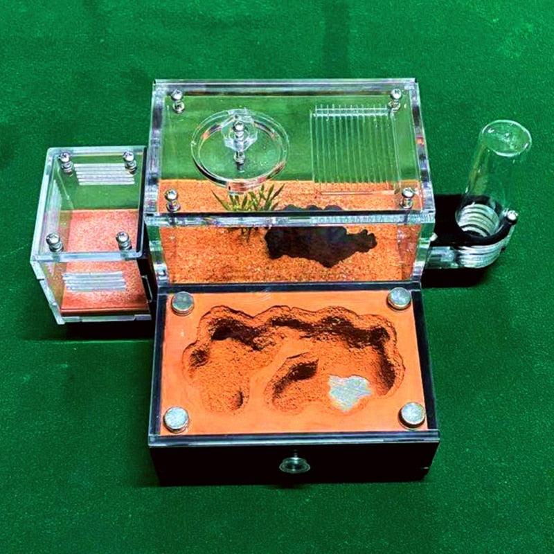 Ant Farm Acrylic Sand Castle Underground Temperature Control Nest Education Workshop - The Pet Talk