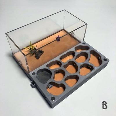 Ant Farm Ecological Concrete Ant House Workshop - The Pet Talk