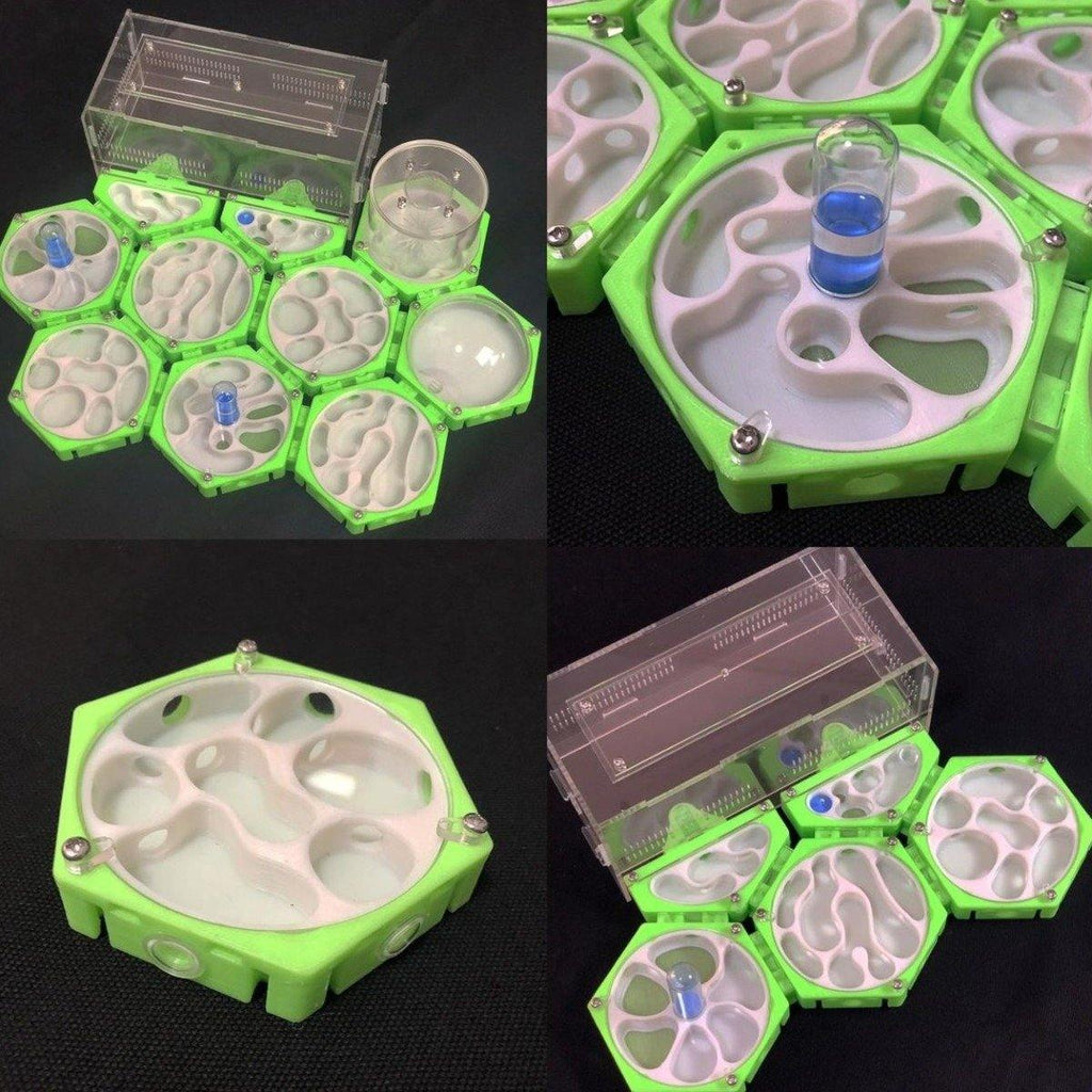 Ant Farm Hexagon Space Stations With Moisturizing Tower Futuristic House - The Pet Talk
