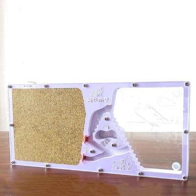 Ant House One Side Transparent - The Pet Talk