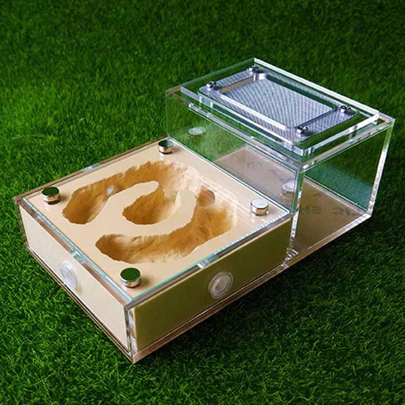Ant Nest Acrylic Ant Villa Plaster Ant House Workshop Education Gifts - The Pet Talk