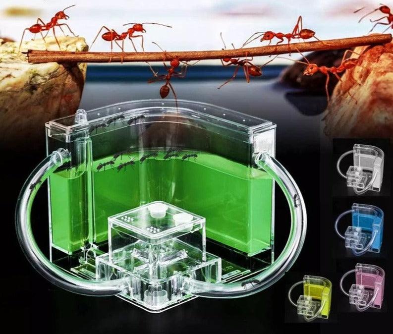 Ant Farm Curve Castle Connecting Tube Anthill Habitat LED House Educational Kits - The Pet Talk