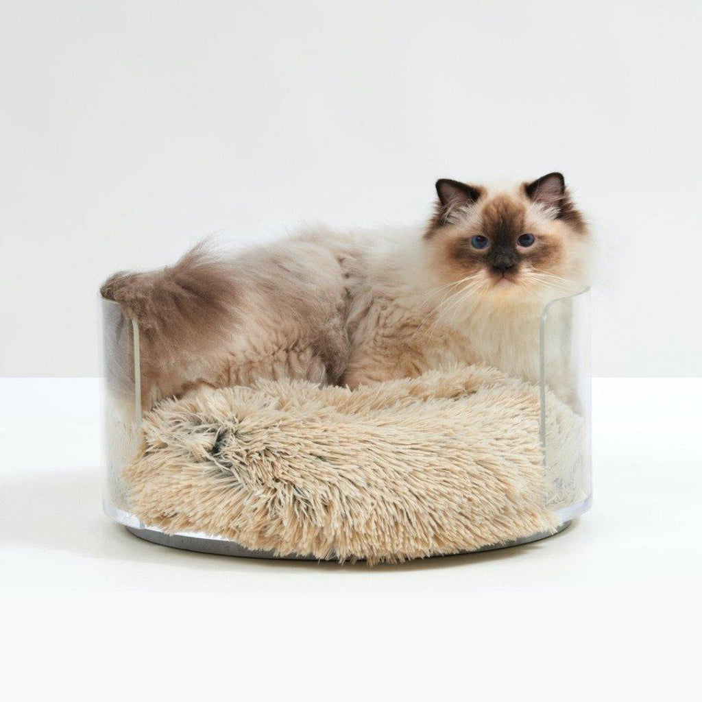 Bed | Clear Round Cat Dog Bed Match With Donut Cushion - The Pet Talk