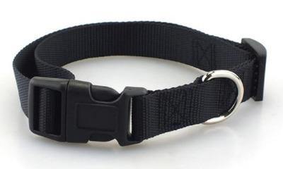 Classic Polyester Pet Collar with Quick Snap Buckle - The Pet Talk
