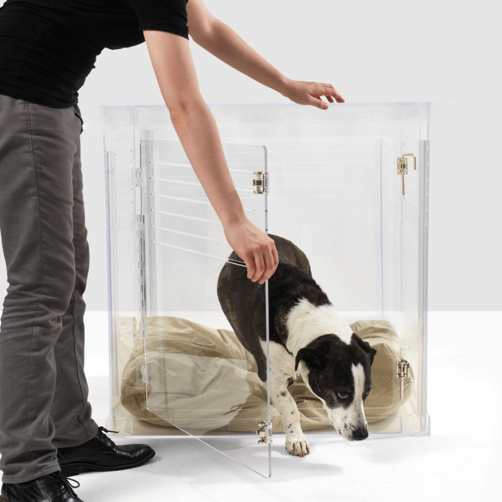 Crate Bed | Clear Large Dog Crate Bed With Door Easy Open Close | Large Crate - The Pet Talk