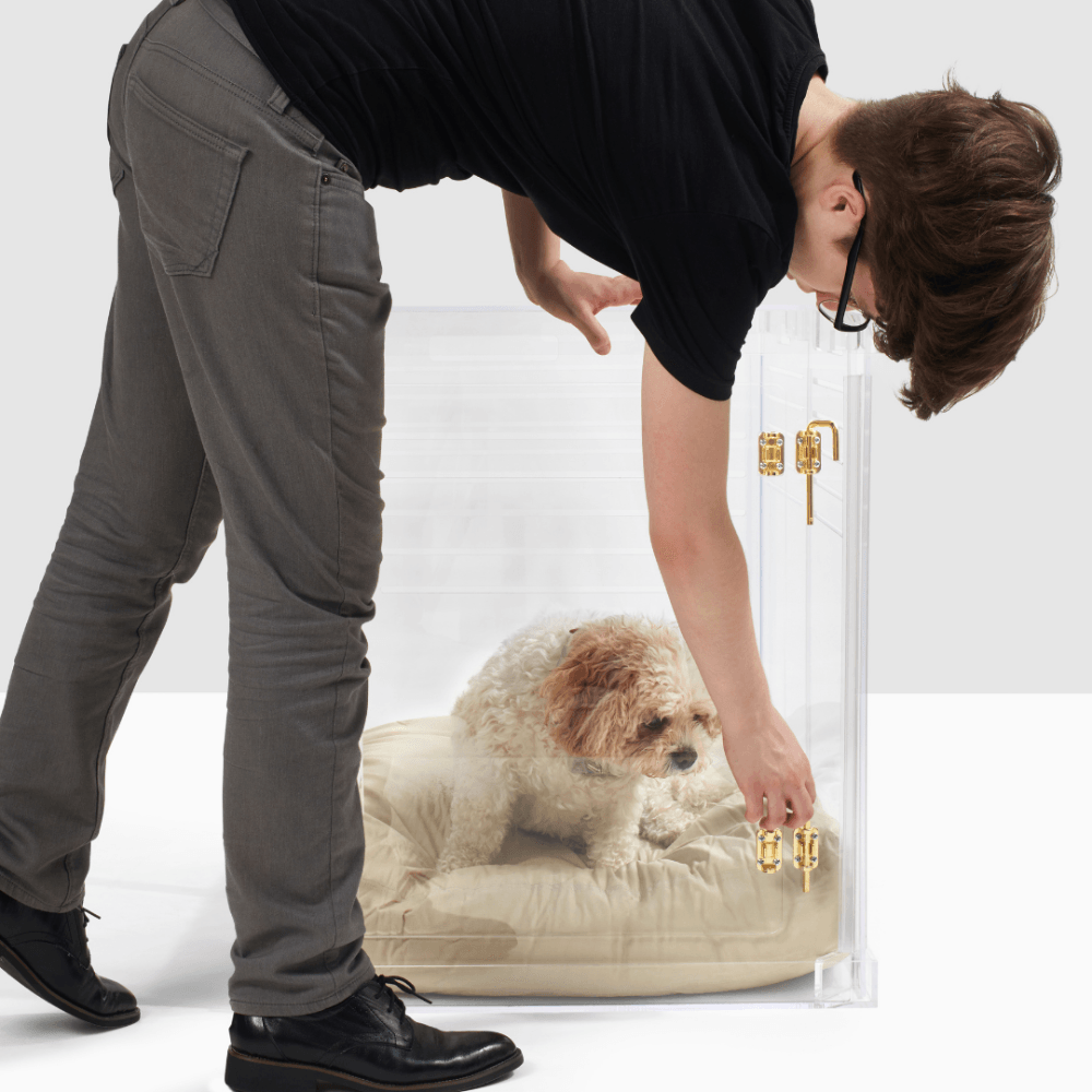 Crate Bed | Clear Medium Dog Crate Bed With Door Easy Open Close | Medium Crate - The Pet Talk