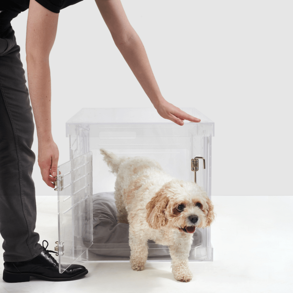 Crate Bed | Clear Small Dog Crate Bed With Door Easy Open Close | Small Crate - The Pet Talk