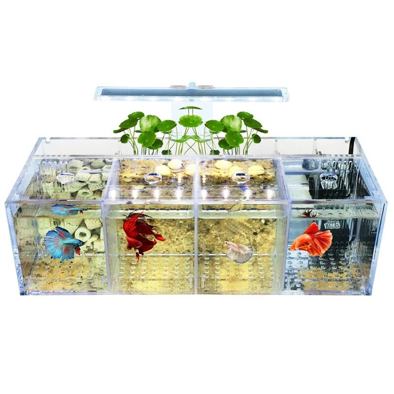 Creative Isolation Box Acrylic Desktop Fish Tank LED Aquarium - The Pet Talk