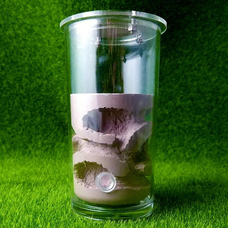 Cylindrical Acrylic Ants Farm Cup Nest High Gypsum Ants House - The Pet Talk