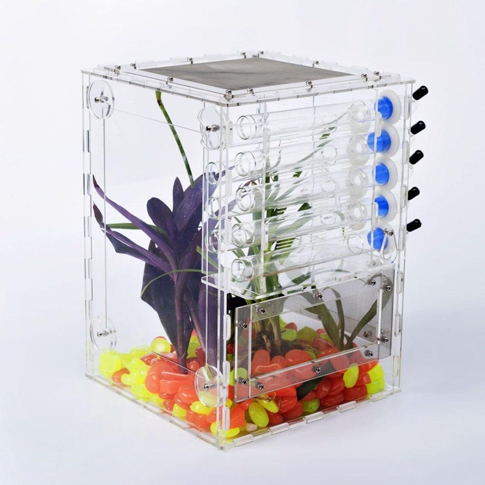 DIY Acrylic Big Ant Farm with Garden Plant Decoration Ant Nest Test Tube Workshop - The Pet Talk