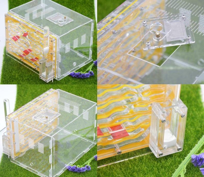 DIY Large Ant Farm Multi-Layered Nest With Water Tower And Large Activities Area - The Pet Talk
