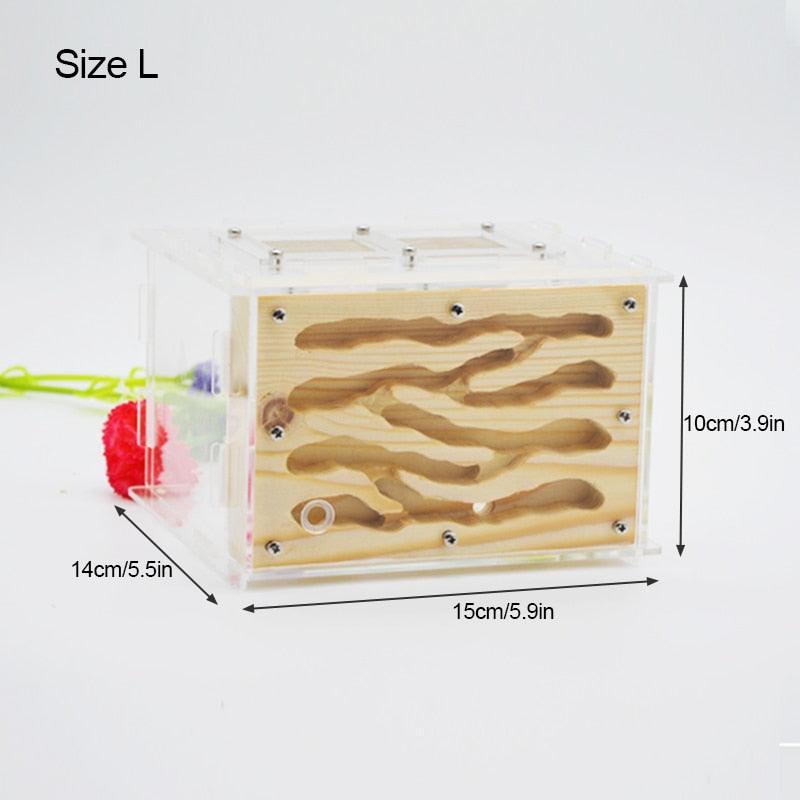 DIY Wooden Ant Farm Ecological Acrylic Ant Wood Nest Workshop - The Pet Talk