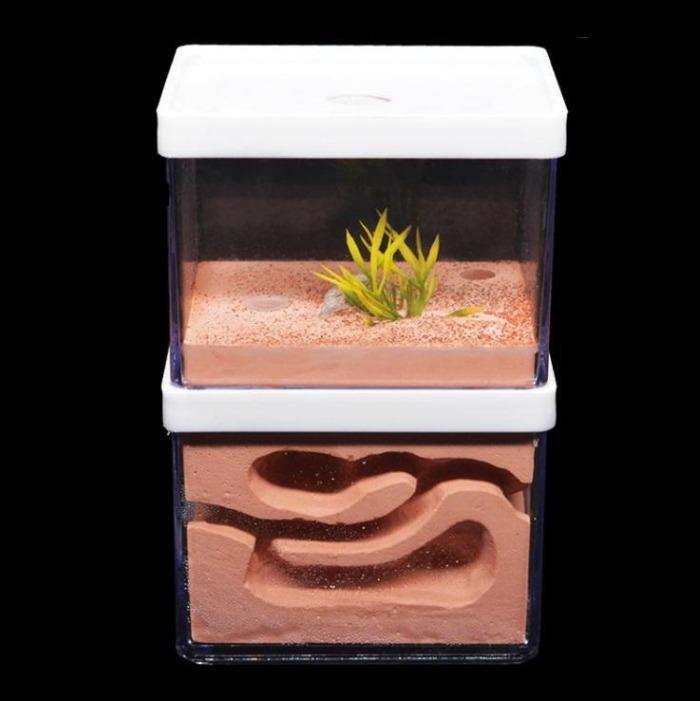 Ecological Big Ant Nest Large Plaster Ant Castle With Feeding Area Pet Anthill - The Pet Talk