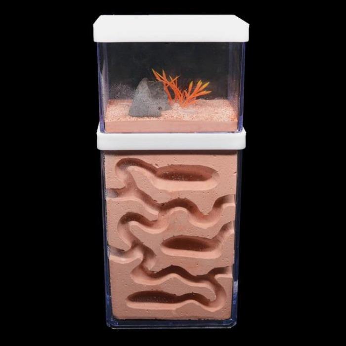 Ecological Big Ant Nest Large Plaster Ant Castle With Feeding Area Pet Anthill - The Pet Talk