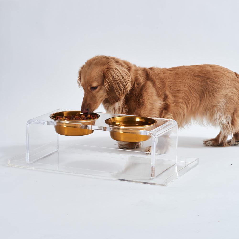 Feeder | Small Clear Double Dog Bowl Feeder with Gold Bowls 1-Pint - The Pet Talk
