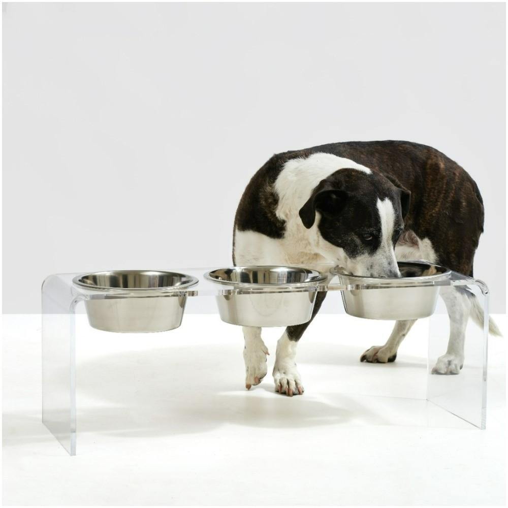 Feeder | Tall Clear Triple Dog Bowl Feeder with Silver Bowls 2-Quarts - The Pet Talk