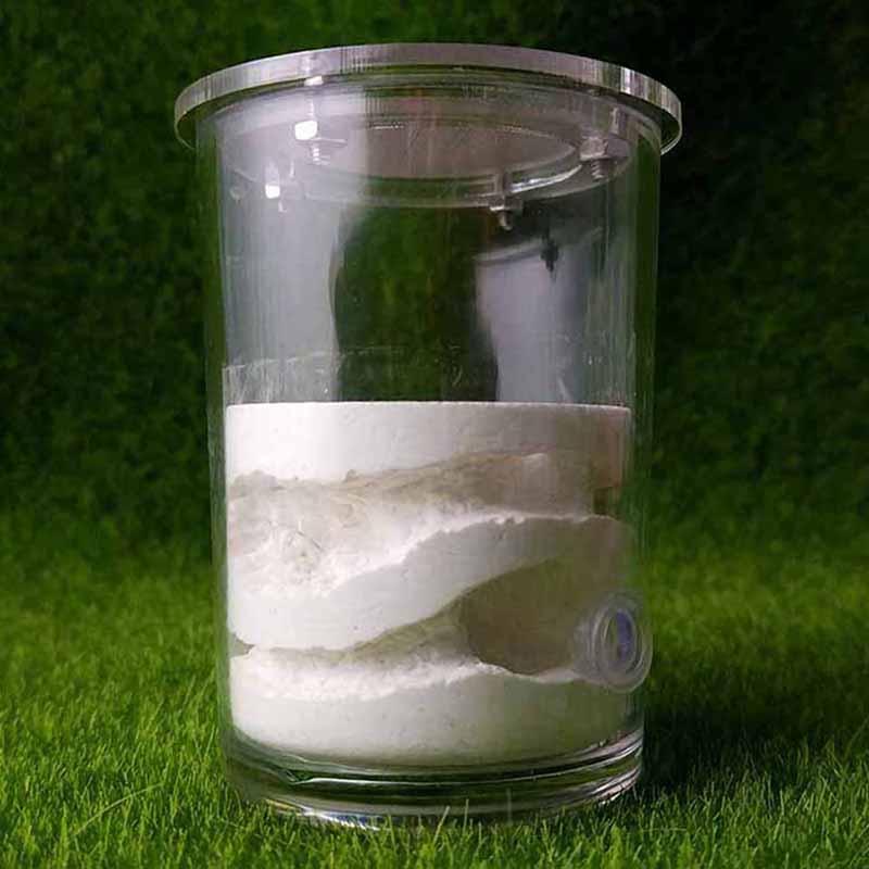 Large Cup Acrylic Ant Farm Mid Level Plaster Pet Ant Castle - The Pet Talk