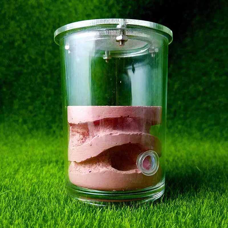 Large Cup Acrylic Ant Farm Mid Level Plaster Pet Ant Castle - The Pet Talk