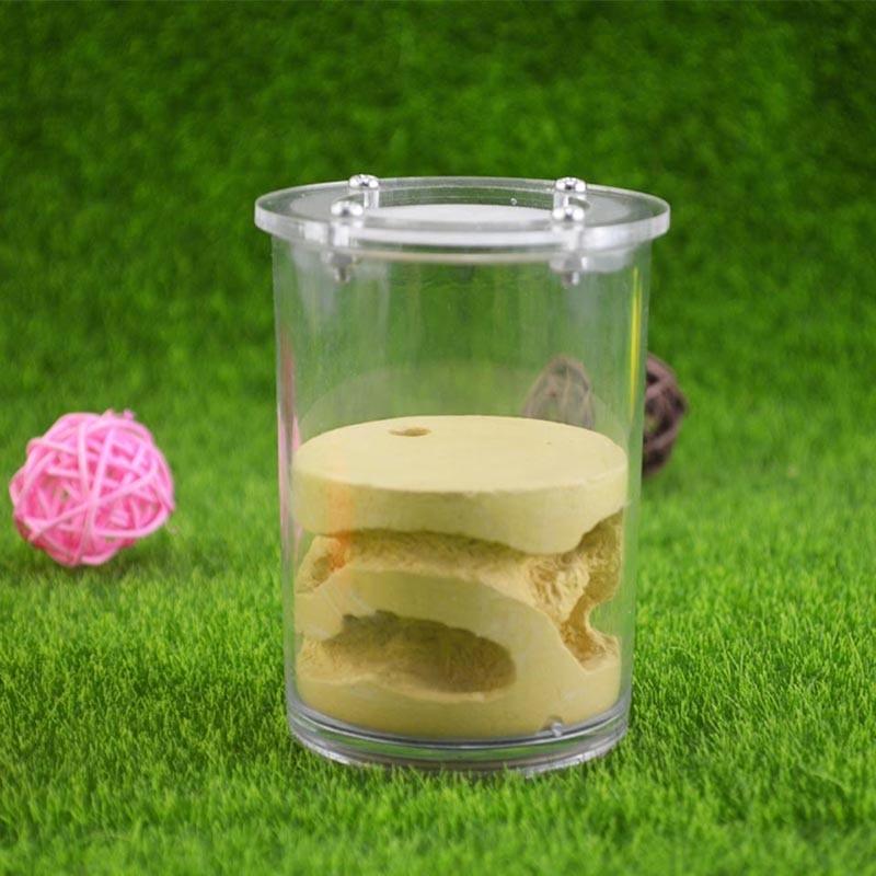 Large Cup Acrylic Ant Farm Mid Level Plaster Pet Ant Castle - The Pet Talk