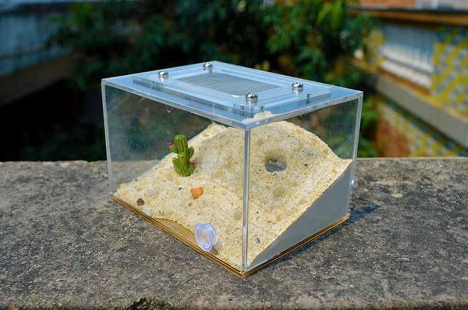 Mini Imitation Ecological Plaster Ant Nest Castle Workshop - The Pet Talk
