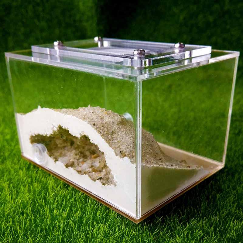Mini Imitation Ecological Plaster Ant Nest Castle Workshop - The Pet Talk