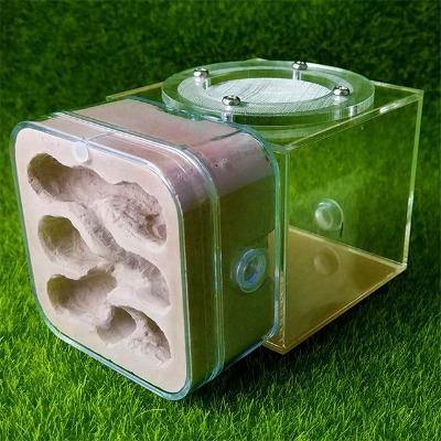 Mini Plaster Ant Nest Acrylic DIY Educational - The Pet Talk
